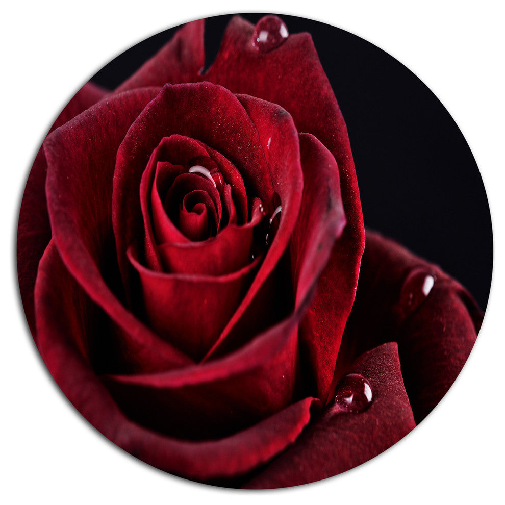 Red Rose With Raindrops On Black, Flowers Round Wall Art, 11"