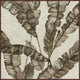 "Sephia II" Floater Framed Painting Print on Canvas, 24"x24"