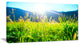 Beautiful Green Nature Wonder, Landscape Canvas Art Print, 40x20