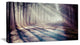 "Strong Sunbeams in Thick Forest" Landscape Photo Wall Art, 32"x16"
