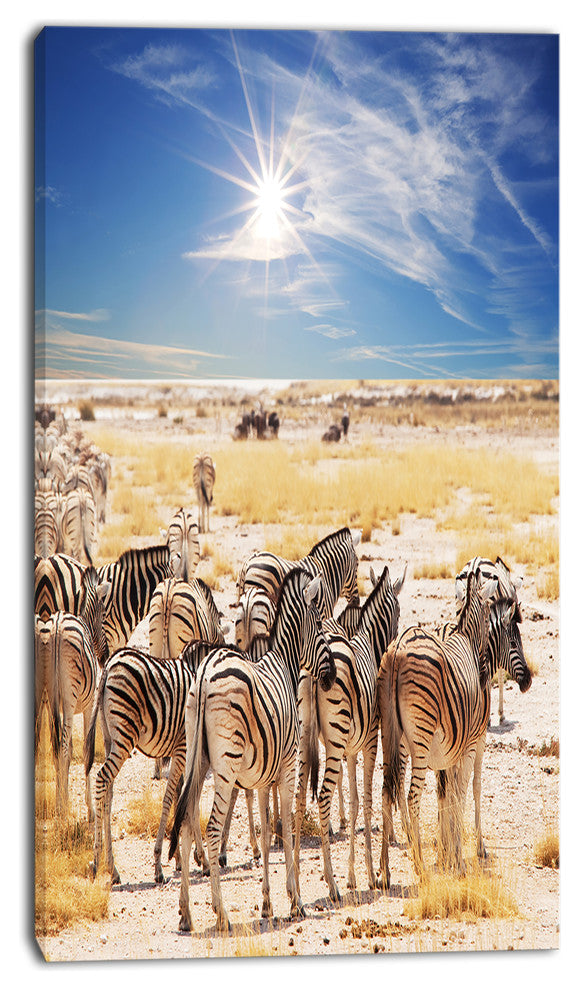 Beautiful Herd of Zebra on Bright Day, African Wall Art Print, 16"x32"