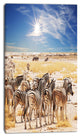 Beautiful Herd of Zebra on Bright Day, African Wall Art Print, 16"x32"