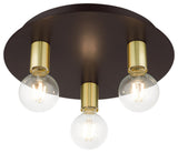 Bronze Transitional, Versatile, Modern, Urban, Minimal Flush Mount