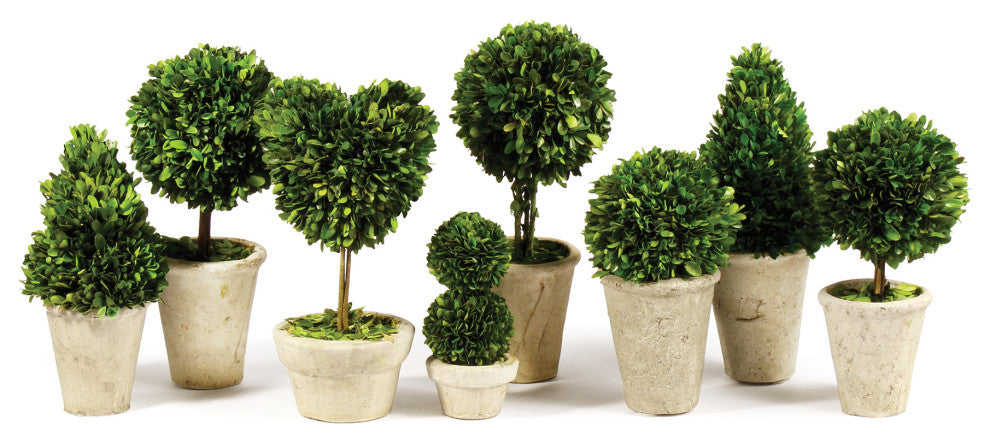 Primary product image: full view of multiple boxwood topiaries on a clean white background with no text or diagrams.