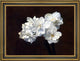Victoria Dubourg FantinLatour Bouquet de Narcisses Framed Canvas Print, 18"x27"