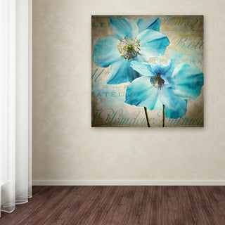Color Bakery 'Himalayan Blue I' Canvas Art, 35"x35"