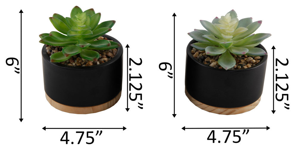 Set Of 2 Succulent Mix In Blk Ceramic Wood Base