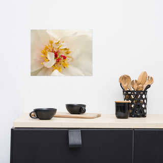 Eye of Peony Nature Photography, Floral Unframed Wall Art Print, 12" X 16"