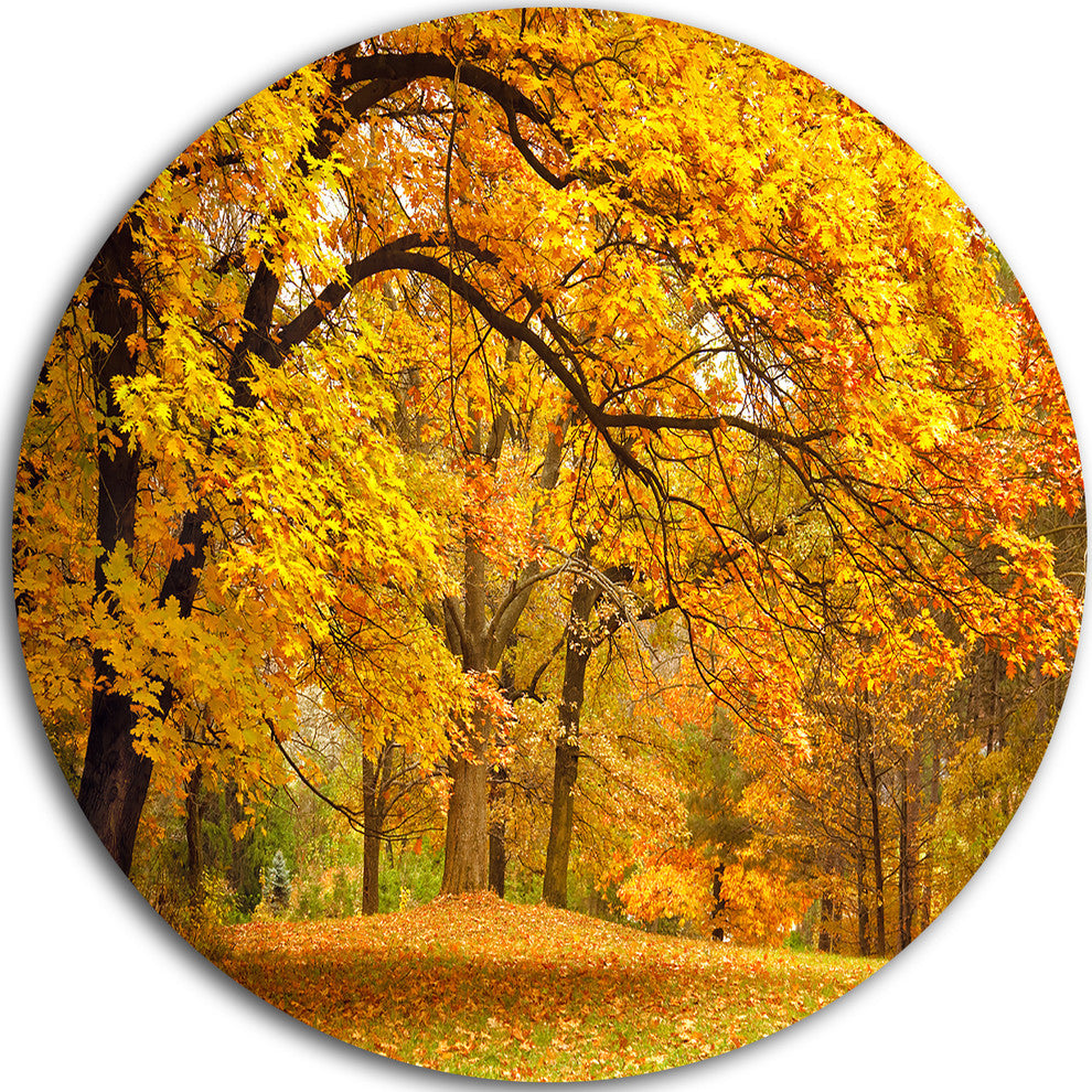 Golden Autumn Forest, Landscape Photo Round Wall Art, 36"