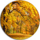 Golden Autumn Forest, Landscape Photo Round Wall Art, 36"