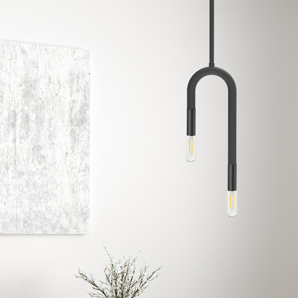 2-Light Matte Black Modern Pendant