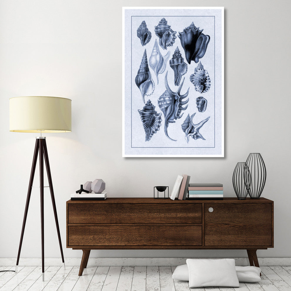 "Shells: Trachelipoda #5 (Blue)" Digital Paper Print by G.B. Sowerby, 42"x62"