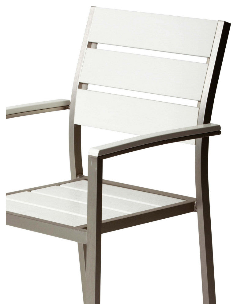 Benzara BM287840 4 Piece Armchairs and 2 Side Chairs Set, Silver Aluminum Frame