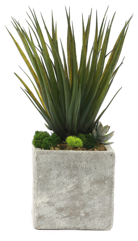 Gorgeous Faux Desert Yucca Plant in Modern Concrete Pot