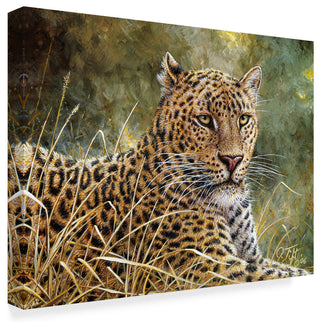 Jeff Tift 'Leopard Portrait' Canvas Art, 19"x14"