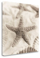 "La Mer 2" By Alan Blaustein, Giclee Print on Gallery Wrap Canvas, Ready to Hang