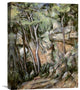 "In The Park of Chateau Noir" Stretched Canvas Giclee by Paul Cezanne, 17"x22"