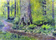 Isaac Ilich Levitan Footpath in a Forest Ferns Wall Decal