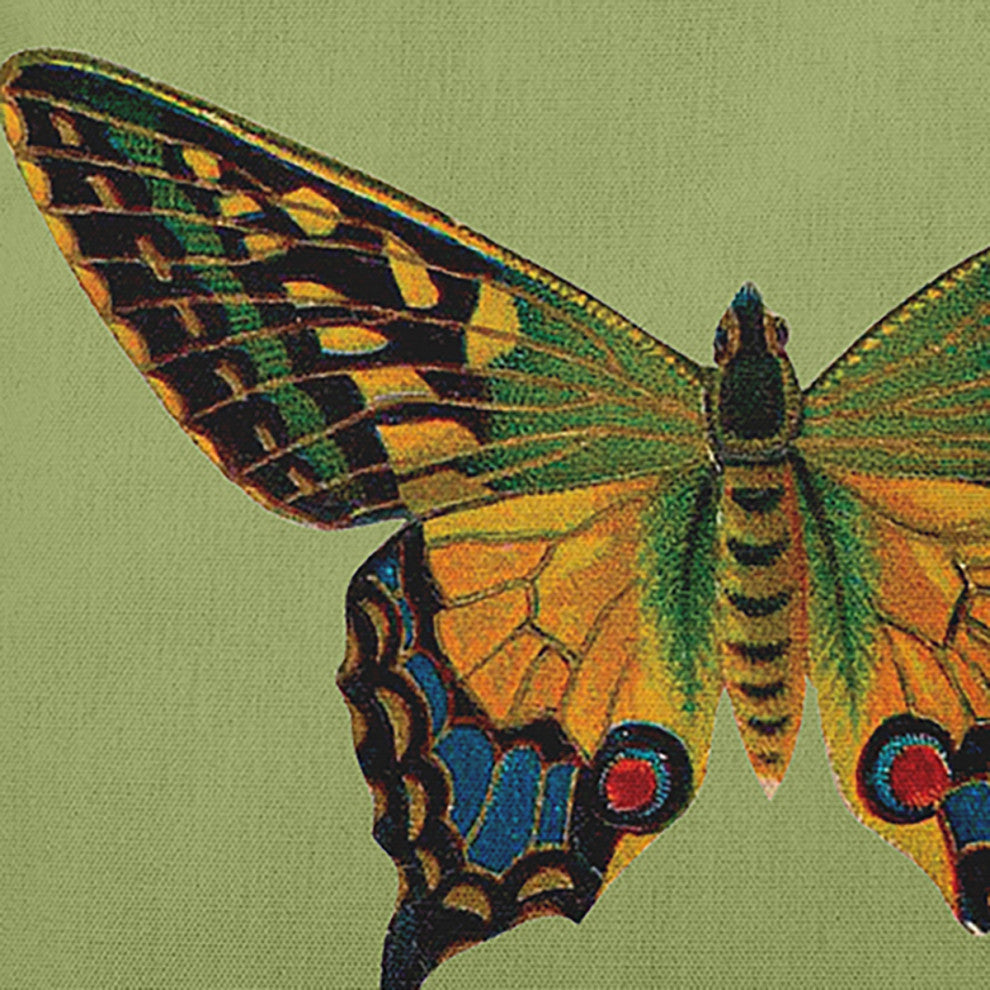 Colorful Swallowtail Polyester Indoor Pillow, Apple Green, 18"x18"
