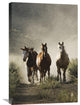 "Horse Group Of Four Approaching Camera, Oregon" Artwork, 20" x 30"