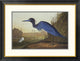 "Blue Crane Or Heron" Framed Digital Print by John James Audubon, 34"x26"