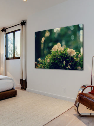 "Nonsense" Painting Print on Wrapped Canvas