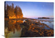 "Tidepools  At Low Tide, Vancouver Island, British Columbia, Canada" Artwork