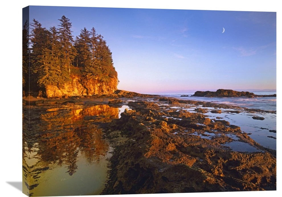"Tidepools  At Low Tide, Vancouver Island, British Columbia, Canada" Artwork