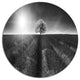 Beautiful Black White Lavender Field, Landscape Disc Metal Artwork, 36"