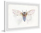 "White Wingspan" Framed Painting Print, 36"x24"