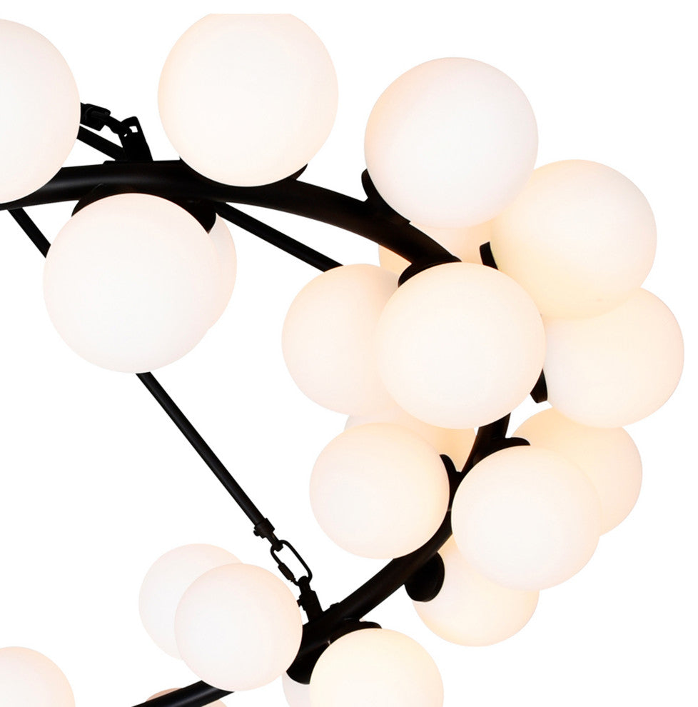 Arya 45 Light Chandelier With Black Finish