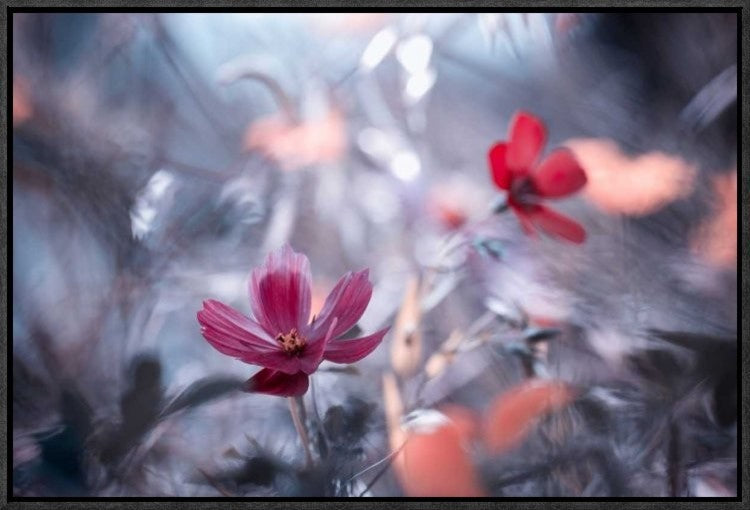 "Une Autre Fleur, Une Autre Histoire"  by Fabien Bravin, 23x16"