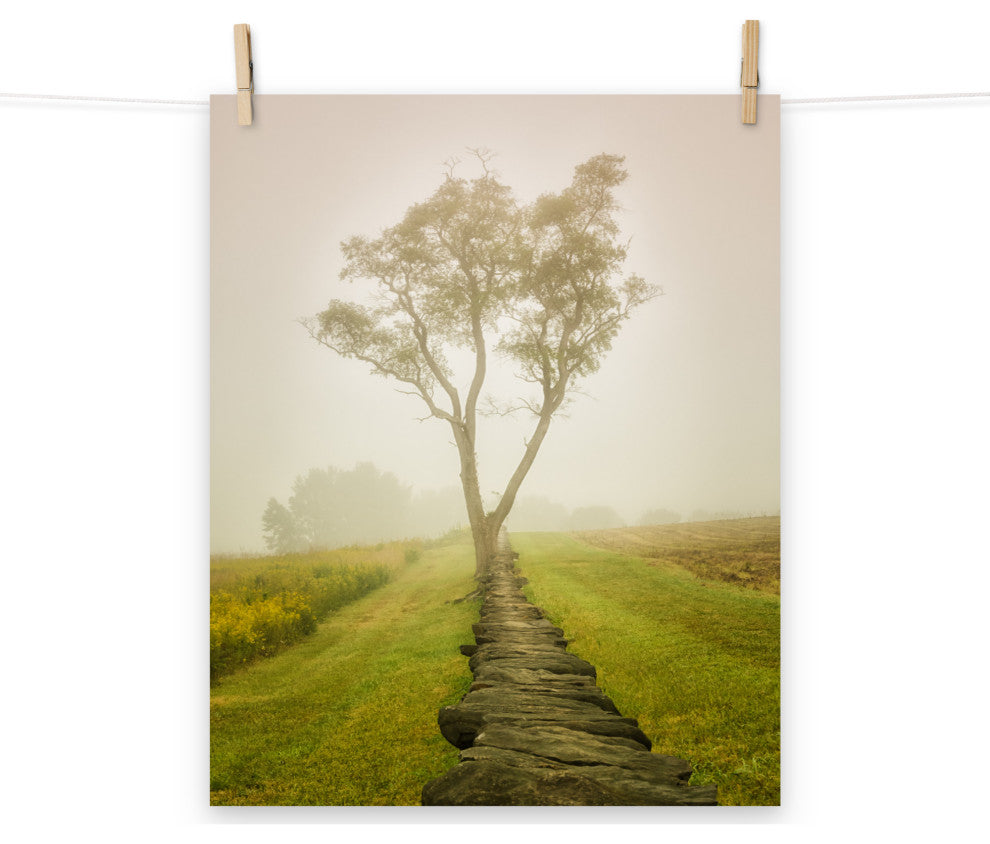 Wall Art Print Landscape Photograph Calming Morning Rural Unframed, 16" X 20"