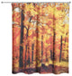 Autumn Path Shower Curtain, 71"x74"