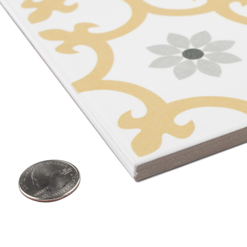 Daria Dandelion Porcelain Floor and Wall Tile