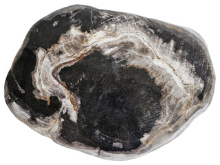 Petrified Stump Stool