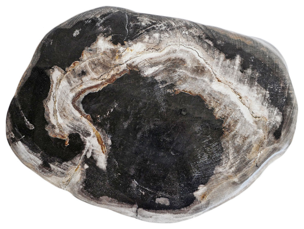 Petrified Stump Stool