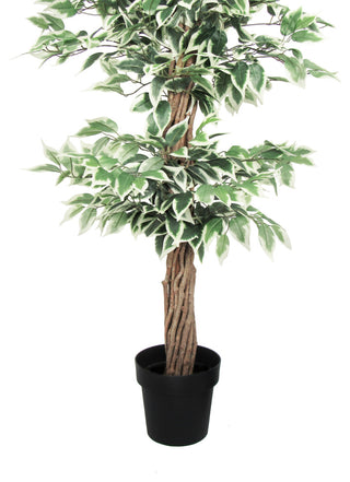 Full white-background view of the product (alternate full shot).