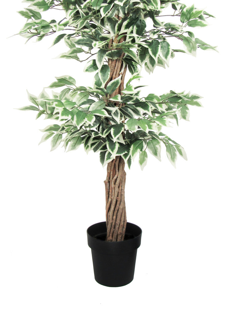 Full white-background view of the product (alternate full shot).