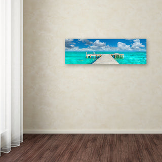 Doug Cavanah 'In No Hurry' Canvas Art, 16x47