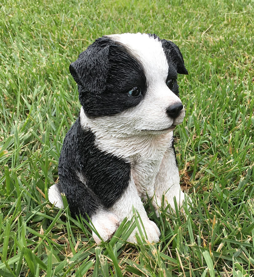 Realistic Border Collie Puppy Garden Statue