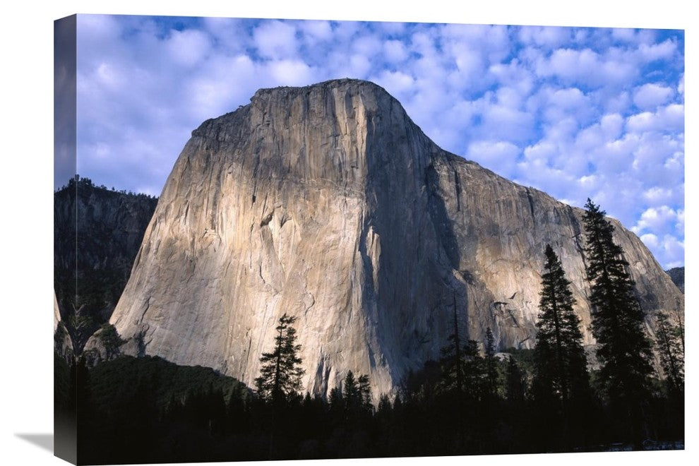 "El Capitan Rising Over The Forest, Yosemite National Park, California" Artwork