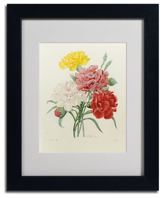 'Carnations from Choix' Matted Framed Canvas Art by Joseph Redoute