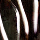 "Rhone" Metal, 36"x36"
