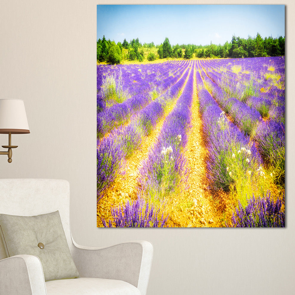 Fantastic Lavender Field of France, Floral Canvas Art Print, 30"x40"