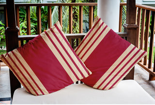 18" x 18" Stripe Indoor/Outdoor Polyester Throw Pillow, Cranberry
