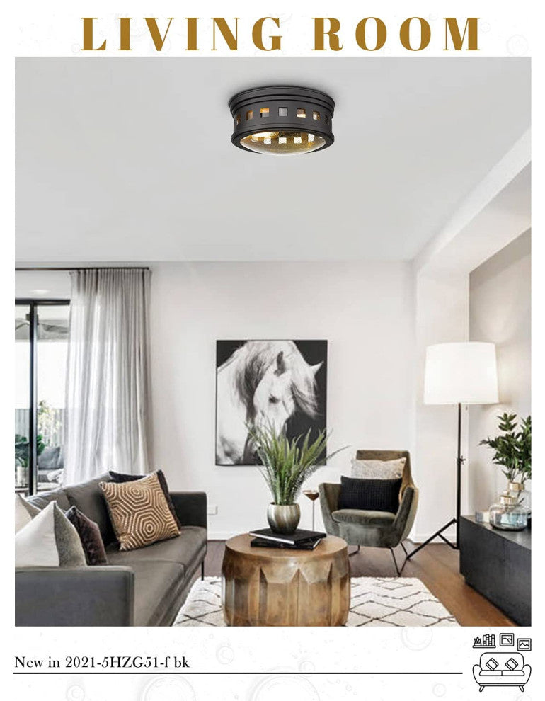 2 Light Flush Mount Ceiling Lamp, Industrial