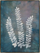30x40 He Loves Me, He Loves Me Not II, Framed Artwork, Silver