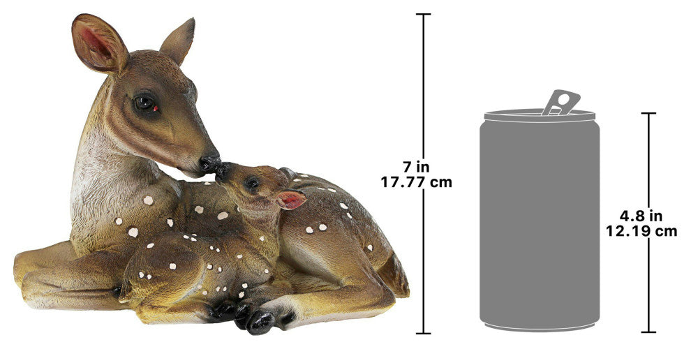Small Mothers Love Doe And Fawn