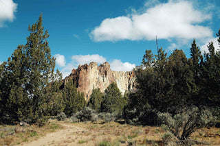 "View from the Trail" Print on Canvas by Sylvia Cook